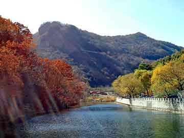 管家婆黑白马报图库，风流天籁纸鸢